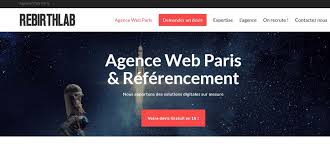 agence web design paris